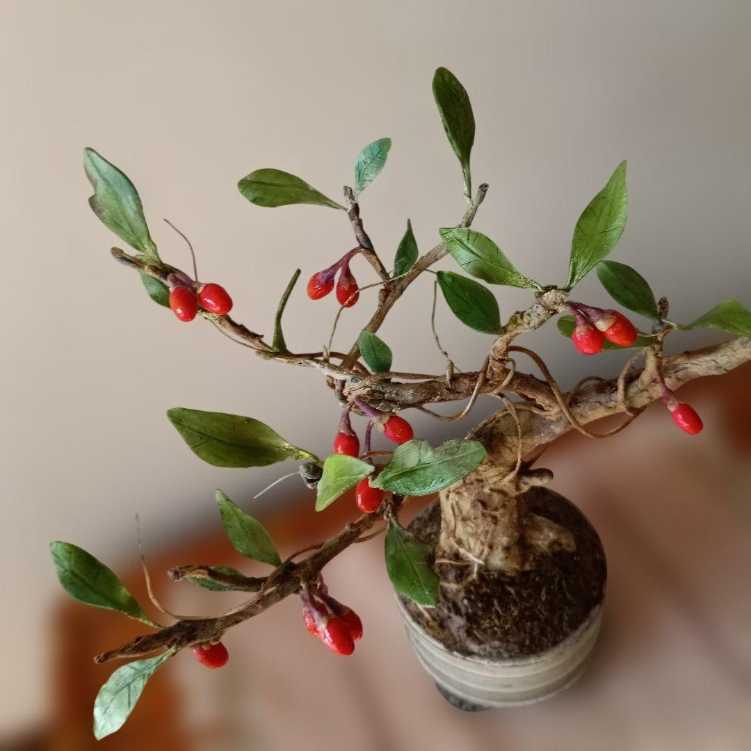 専用　クコの実の盆栽 　　　　　樹脂粘土