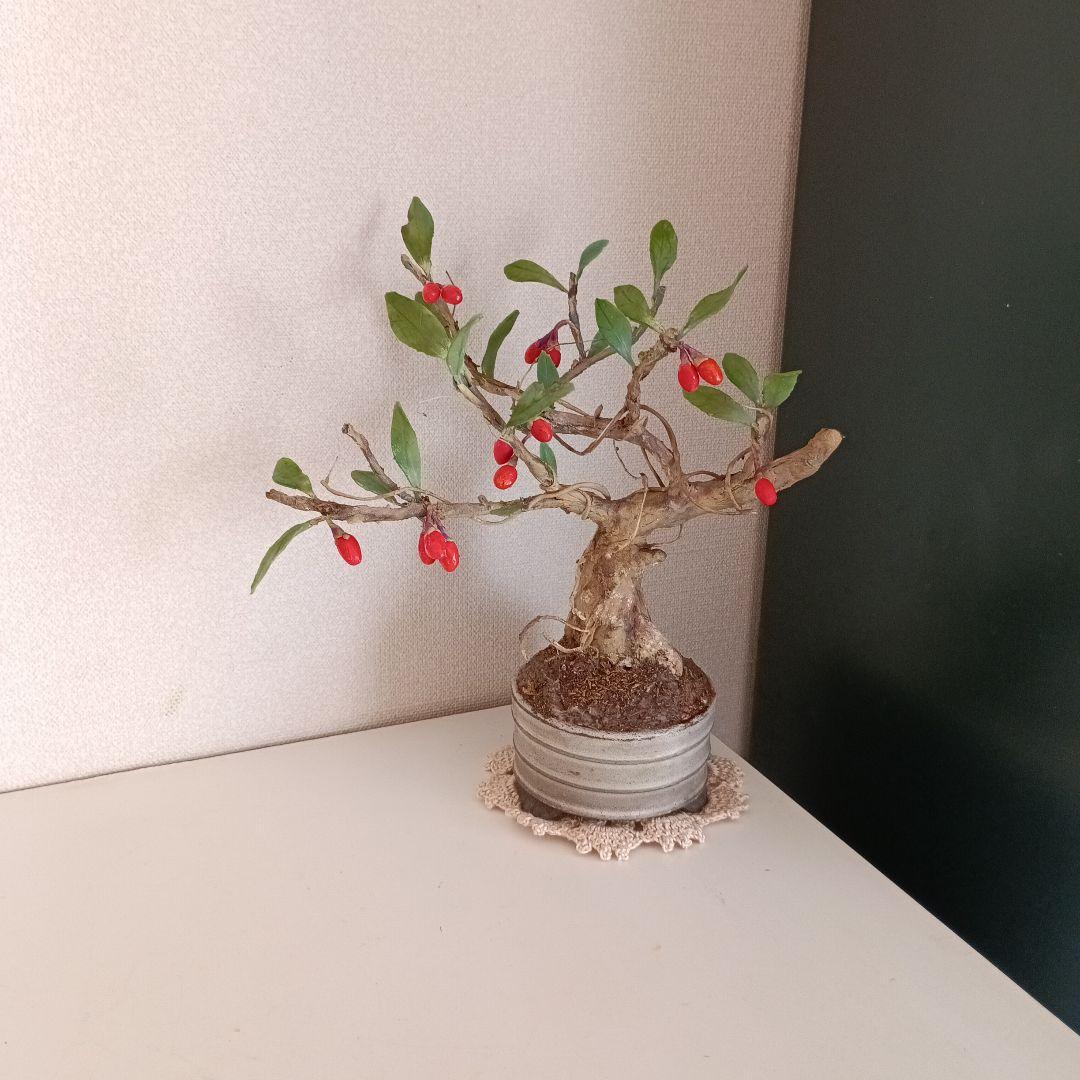 専用　クコの実の盆栽 　　　　　樹脂粘土