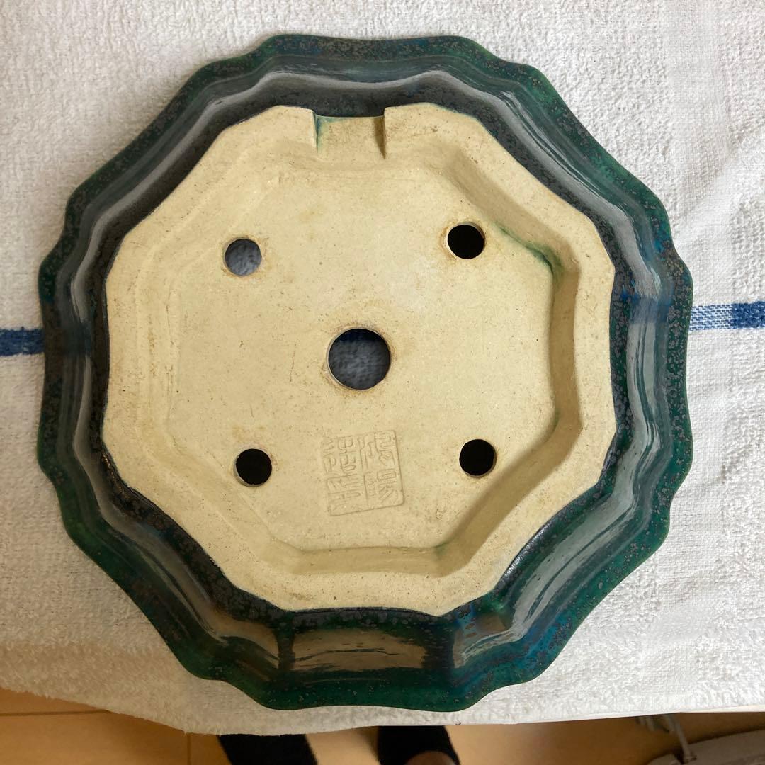 鴻陽輪花式鉢