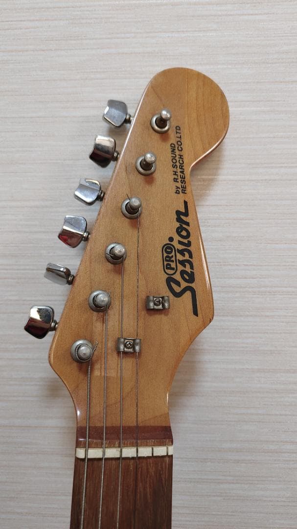 Pro Session エレキギター