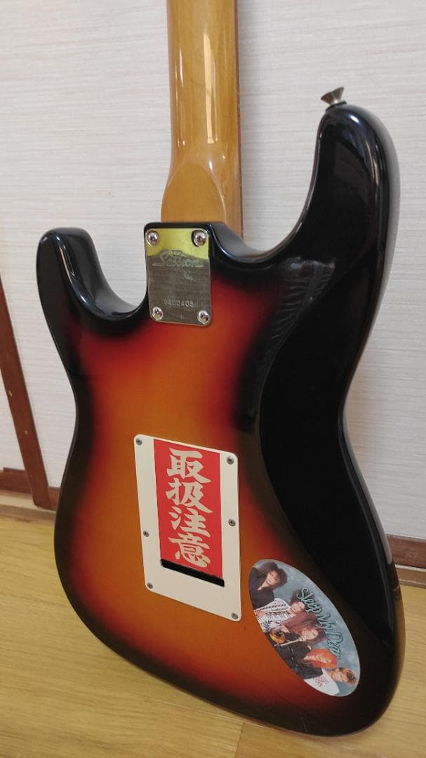 Pro Session エレキギター