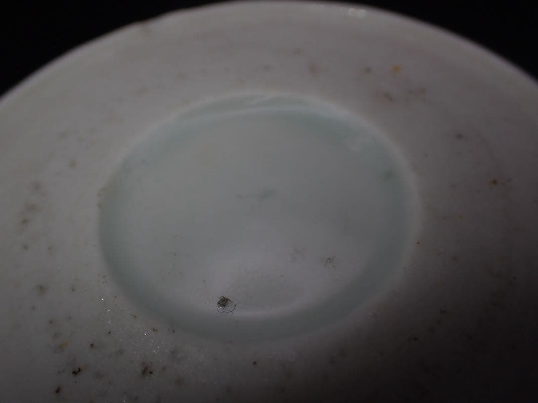 【完品】 古伊万里 <蓮華鱗に隠れ哀の図>そば猪口 蛇の目 大振り(青2-1)