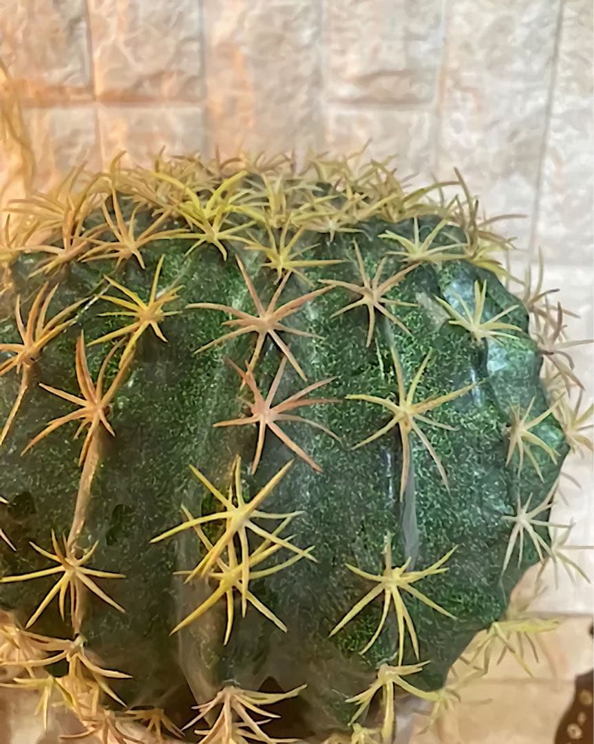 光触媒　人工観葉植物　ウォールグリーン　フェイクグリーン　サボテンカクタスj