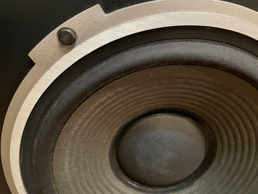 DIATONE DS-30B 30センチスピーカー　YouTube視聴可能