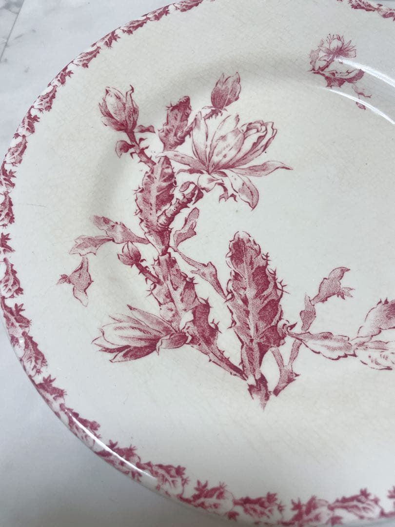 GIEN ジアン_CACTUS カクタス プレート-A フランスアンティーク