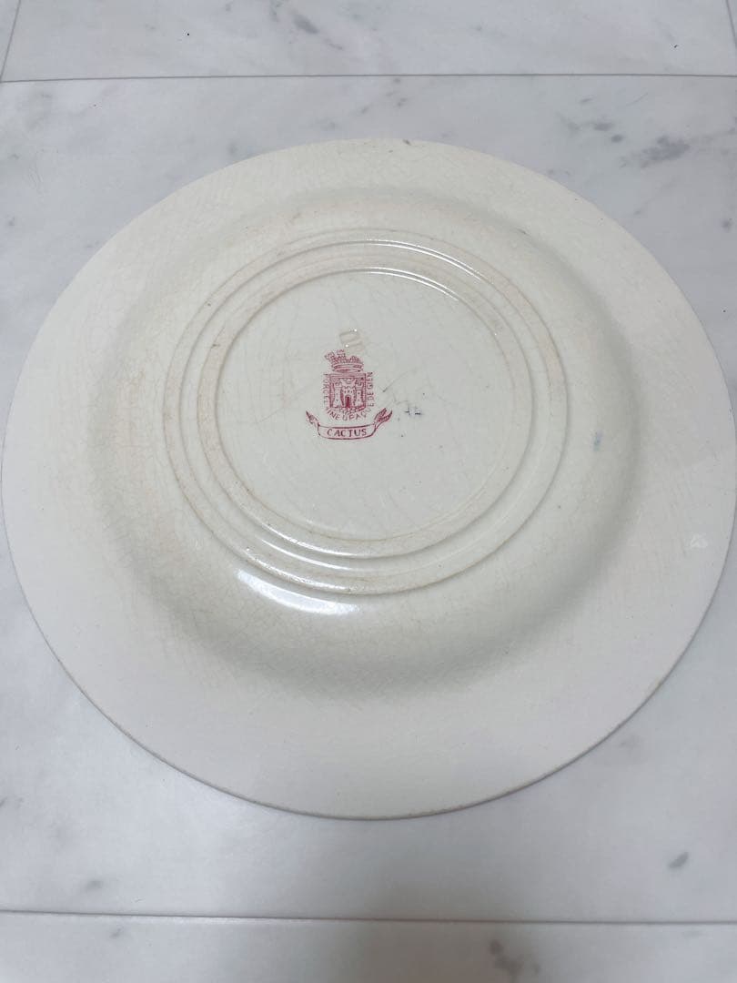 GIEN ジアン_CACTUS カクタス プレート-A フランスアンティーク