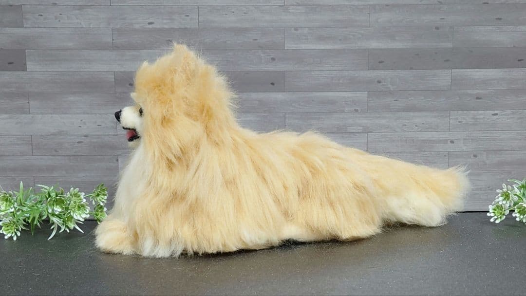 羊毛フェルト犬　ポメラニアン
