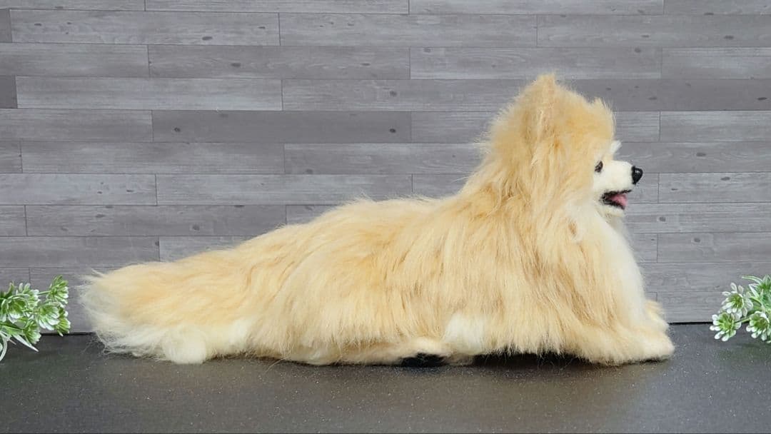 羊毛フェルト犬　ポメラニアン