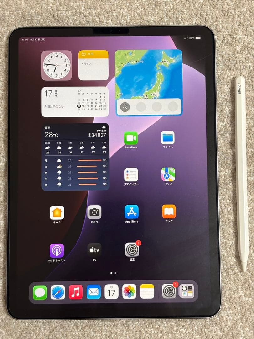 Apple iPad Pro (11インチ) 256GB 第一世代＋Pencil