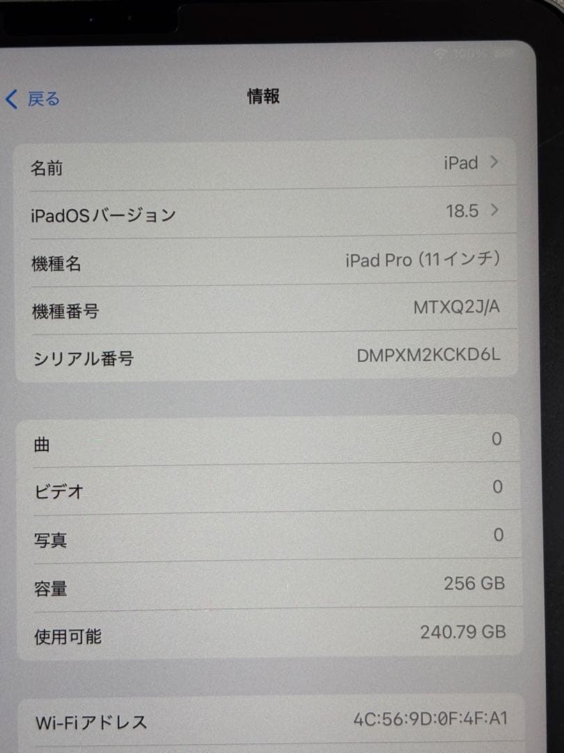 Apple iPad Pro (11インチ) 256GB 第一世代＋Pencil
