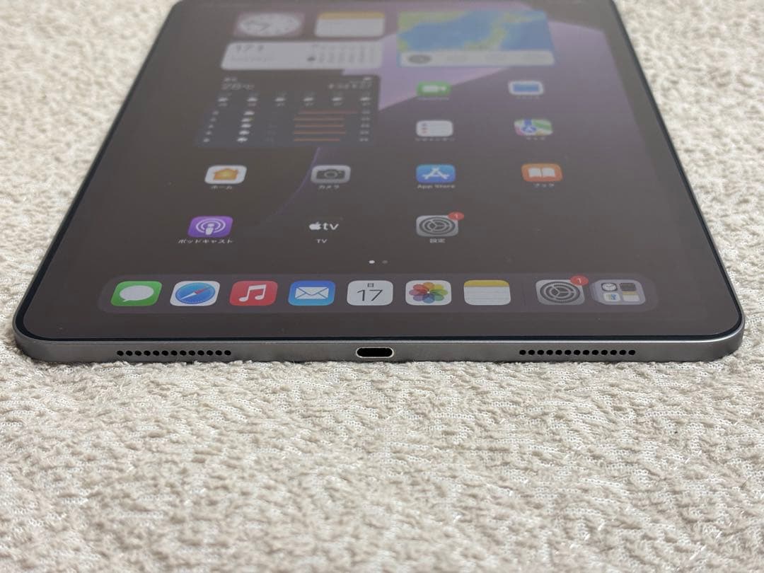 Apple iPad Pro (11インチ) 256GB 第一世代＋Pencil