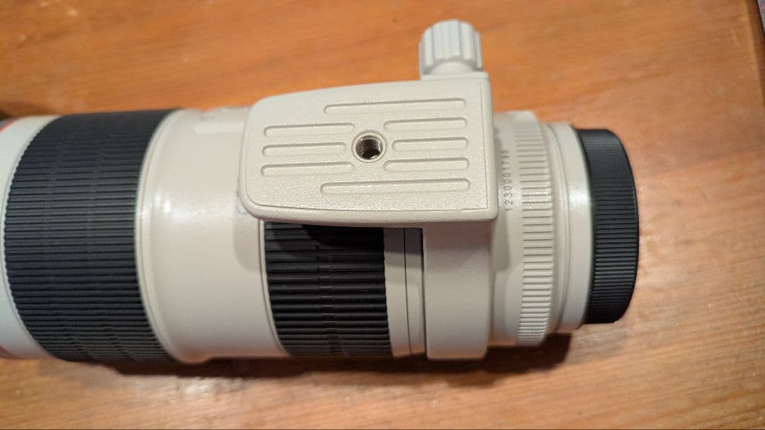 ［Canon 純正レンズ］EF70-200mm f2.8L IS II USM