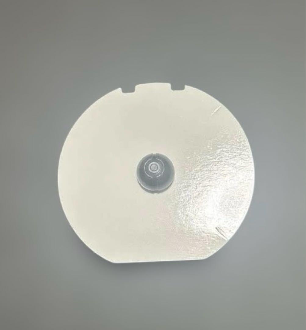 ポケモン ポケパーク ピンバッジ ピンズ ピカチュウ