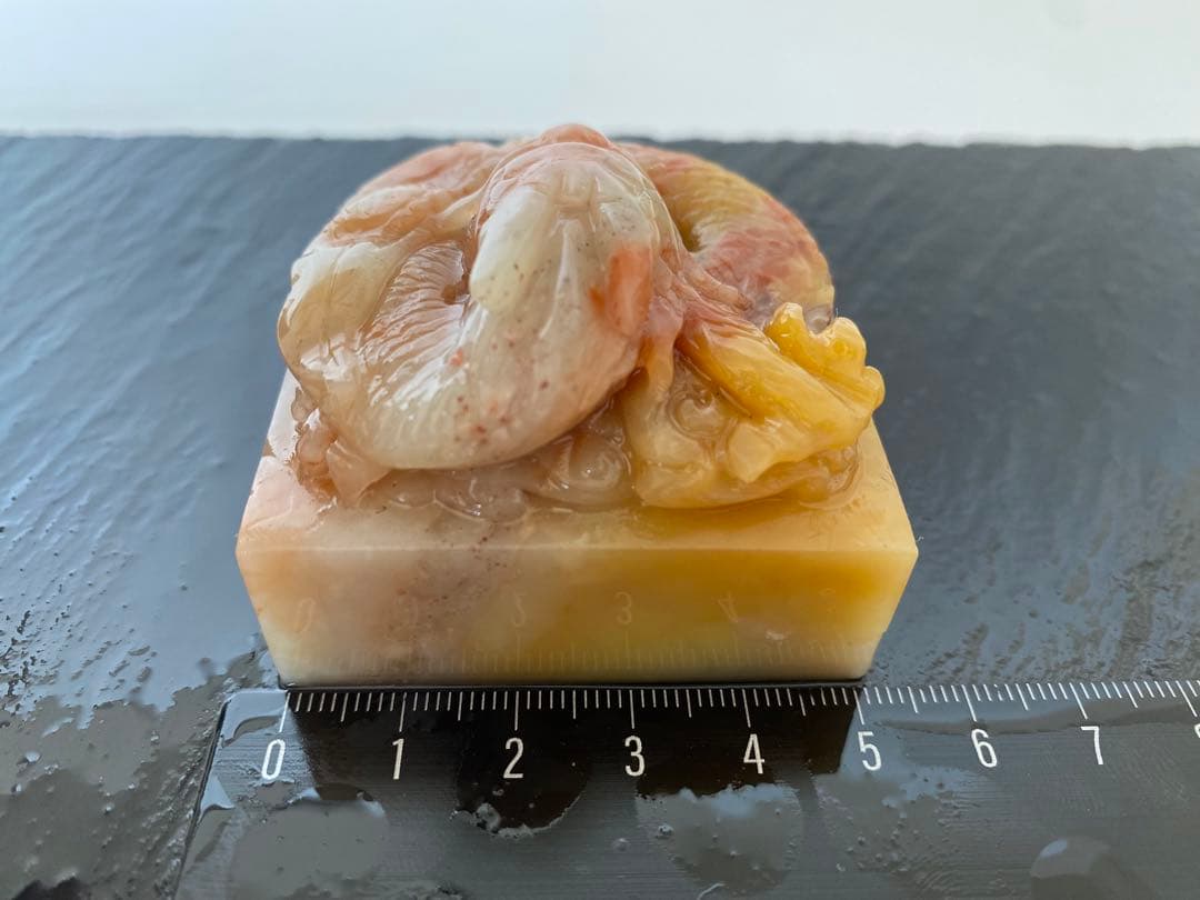 寿山石　龍　玺印 50mm角　大材　印材　印石　篆刻　落款　雅号　書道　日展