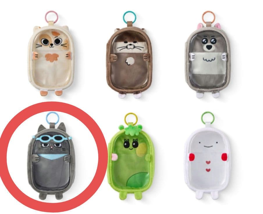 BOYNEXTDOOR プネクド BBNEXDO　キーリング 　ポーチ テサン