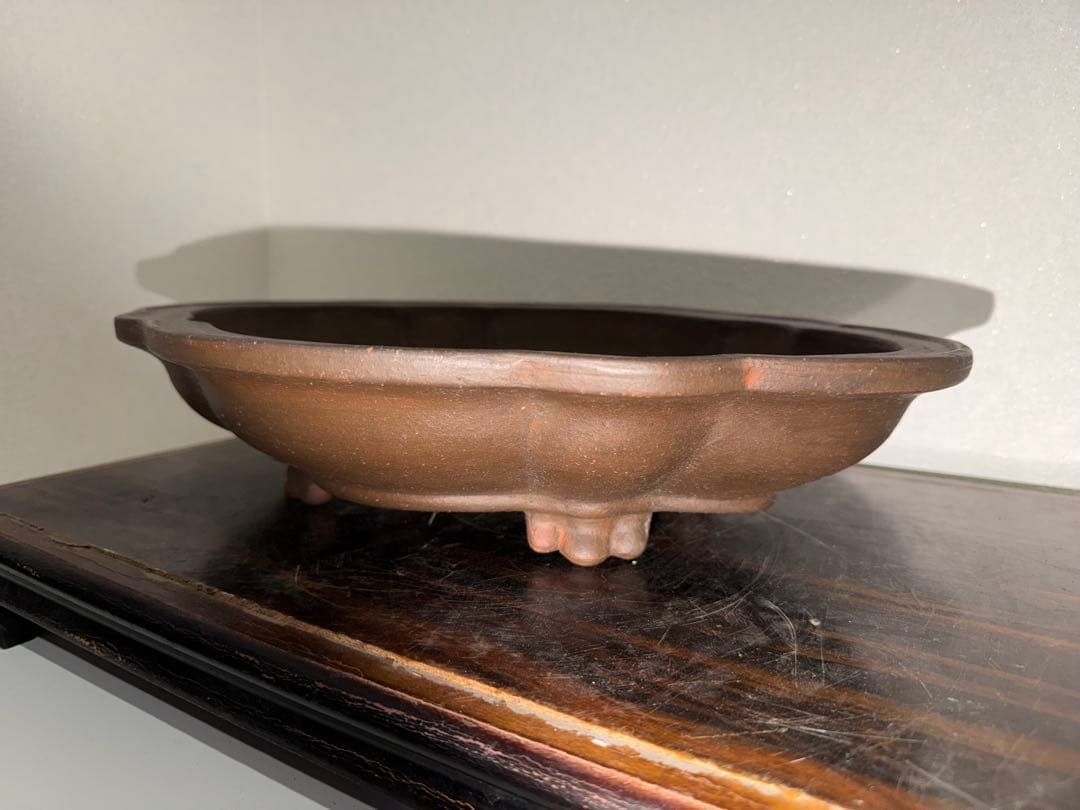 希少！美品　銭号　烏泥輪花雲脚　盆栽鉢　落款