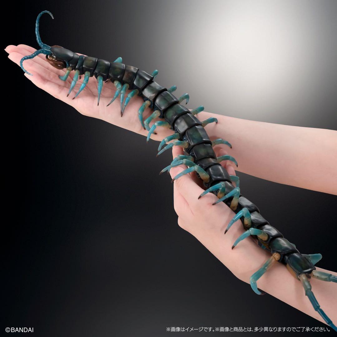 いきもの大図鑑　リュウジンオオムカデ