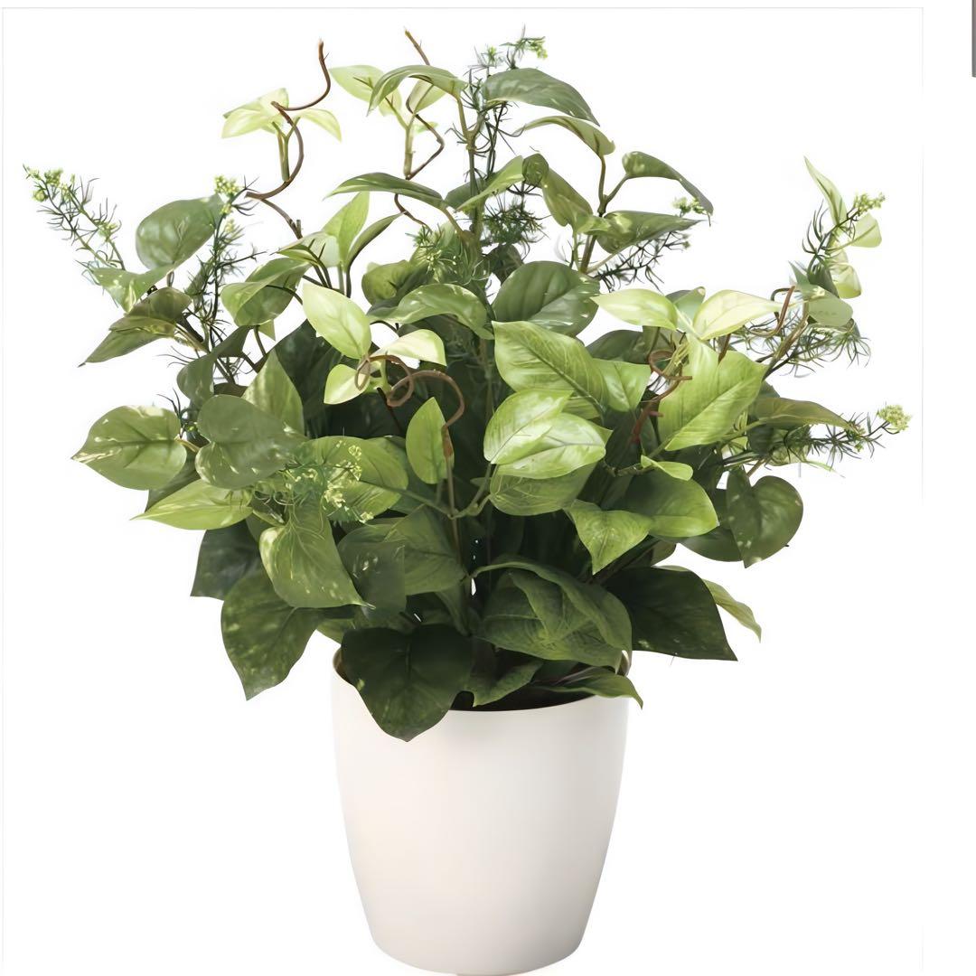 光触媒　人工観葉植物　ウォールグリーン　フェイクグリーン　ミックスポトス