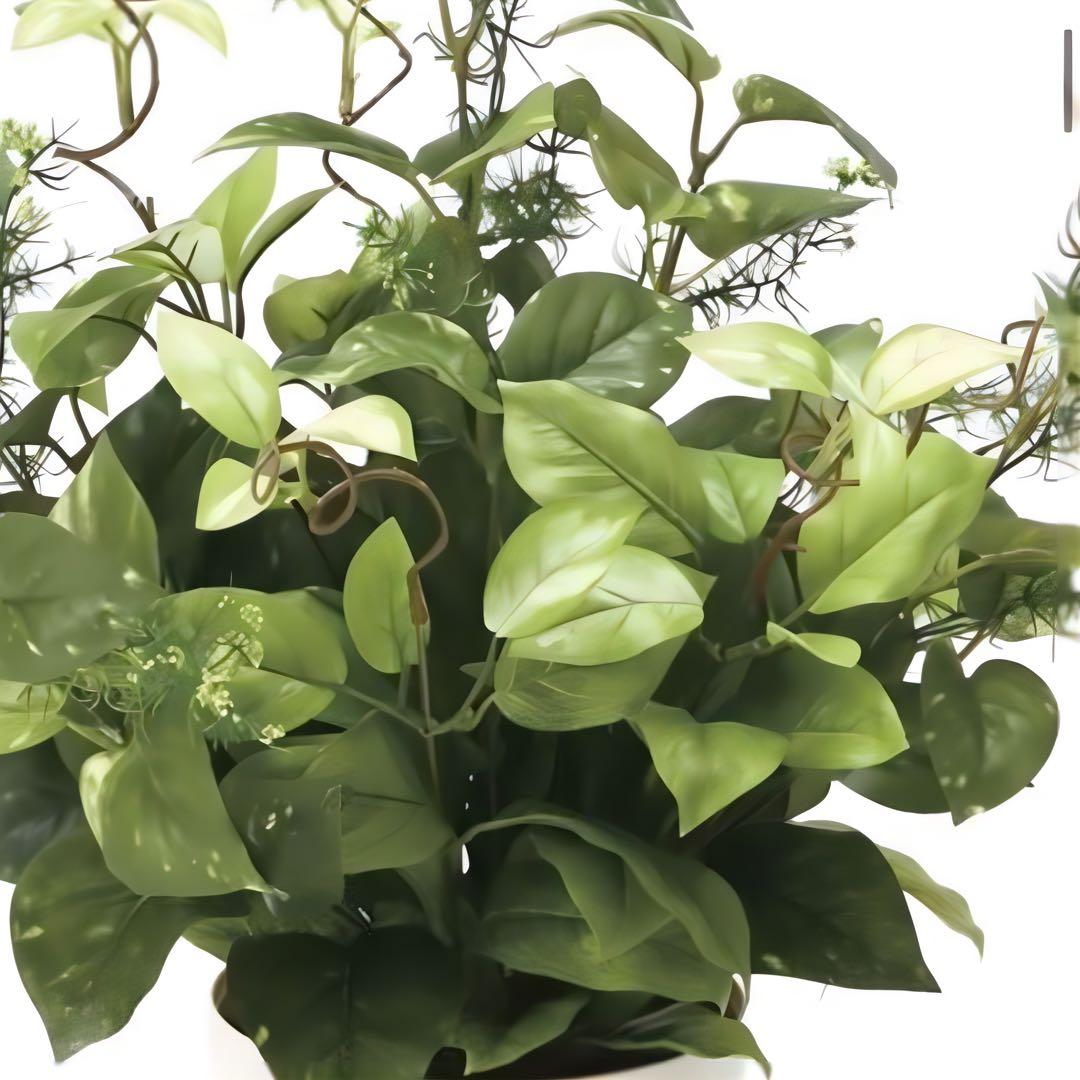 光触媒　人工観葉植物　ウォールグリーン　フェイクグリーン　ミックスポトス