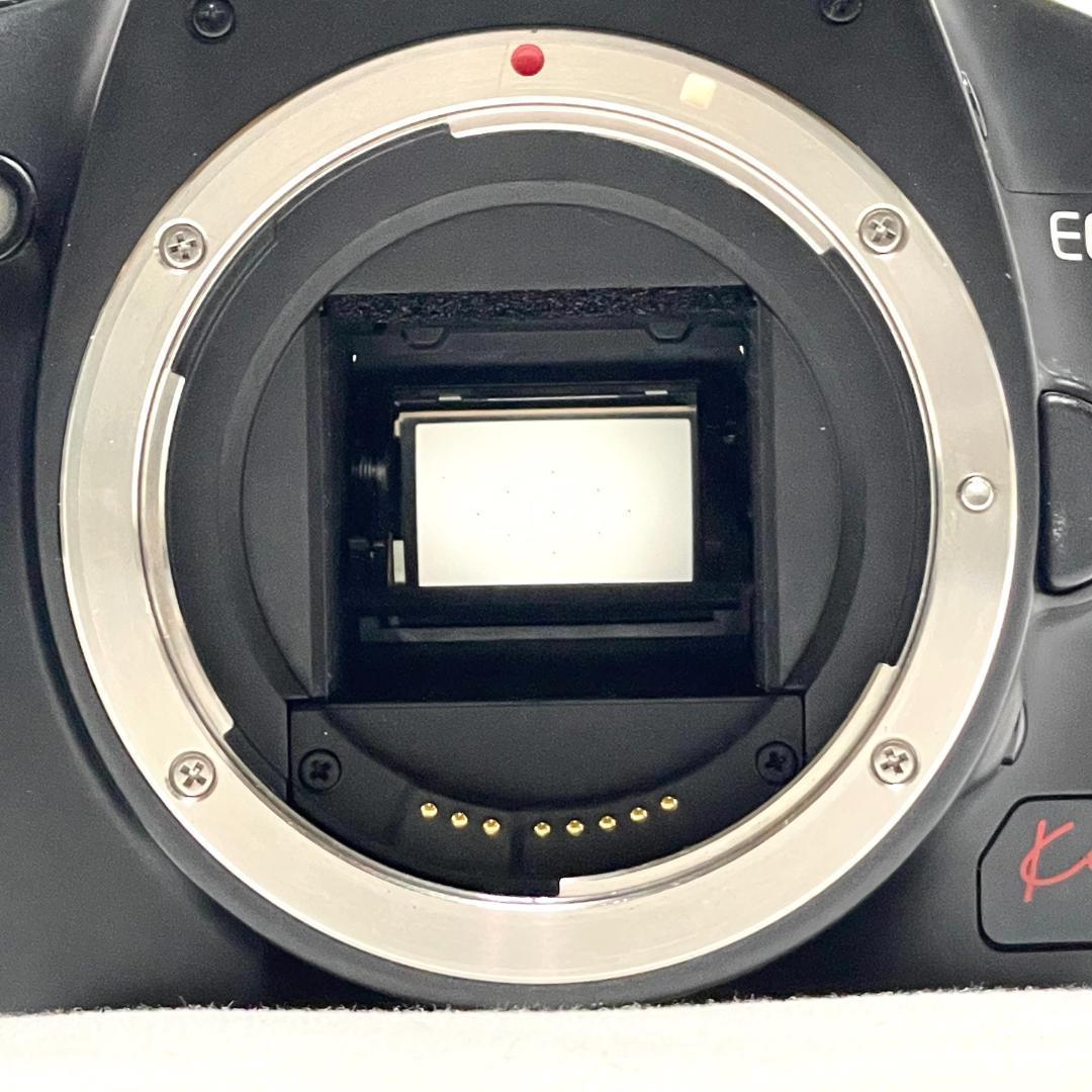 撮りたい場面を迷わない❣️ Canon EOS Kiss X2 Wレンズセット