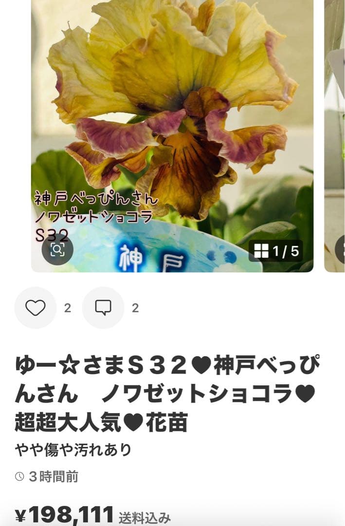 ◆◆ゆー☆さま　Ｓ９８♥神戸べっぴんさん　ノワゼットショコラ♥超超大人気