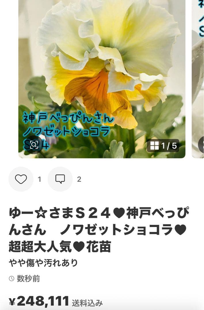 ◆◆ゆー☆さま　Ｓ９８♥神戸べっぴんさん　ノワゼットショコラ♥超超大人気