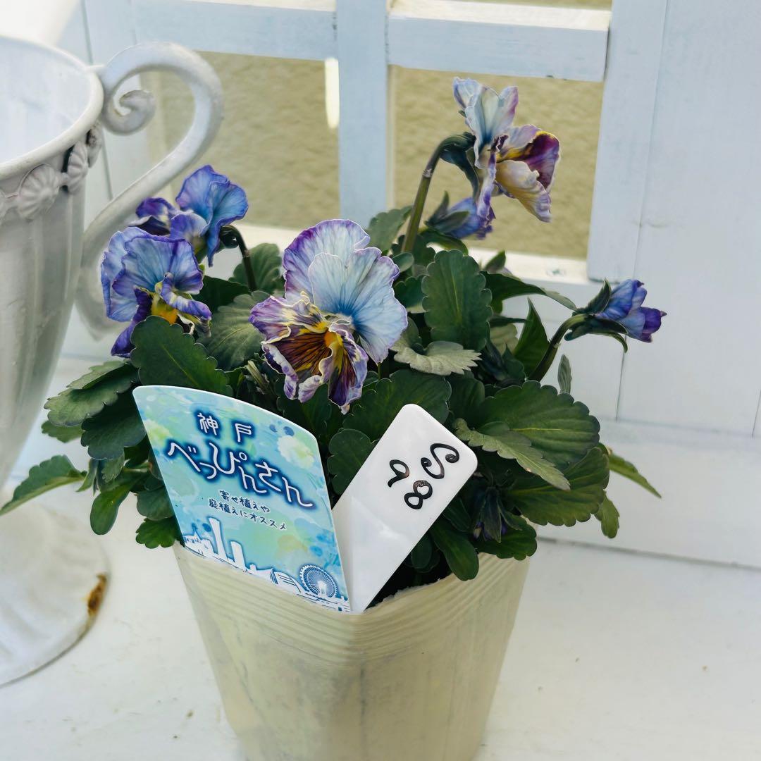 ◆◆ゆー☆さま　Ｓ９８♥神戸べっぴんさん　ノワゼットショコラ♥超超大人気