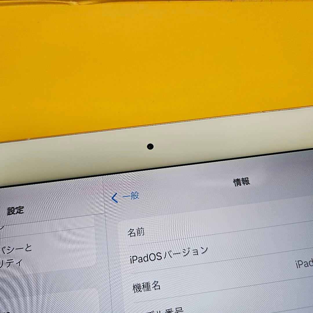 iPad Pro 10.5 64GB｜24時間以内発送#307