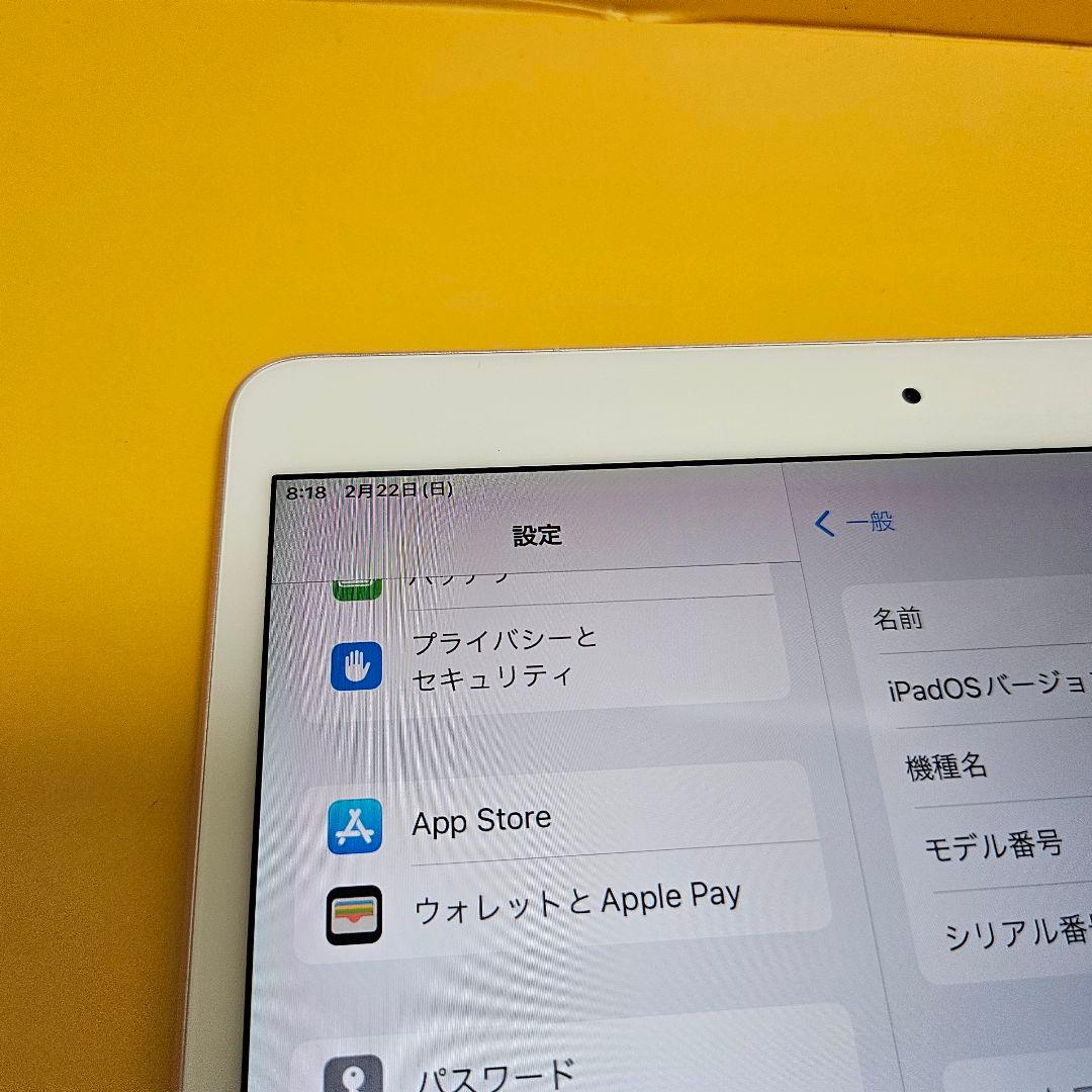 iPad Pro 10.5 64GB｜24時間以内発送#307
