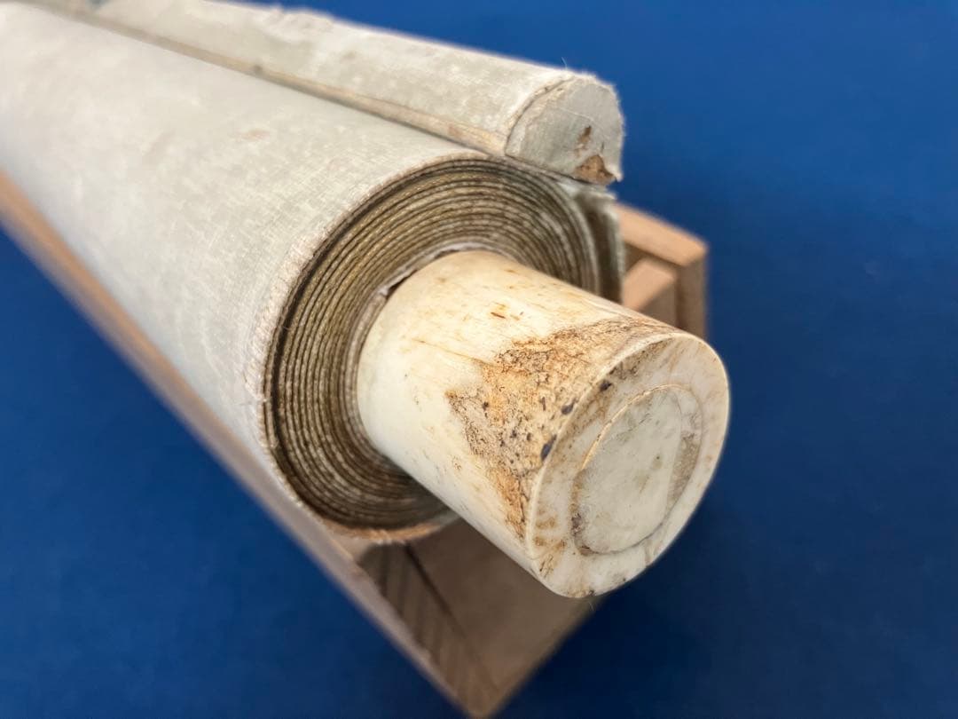 画賛　オカメインコ　絹本　掛軸【中村不折・古田土雅堂】