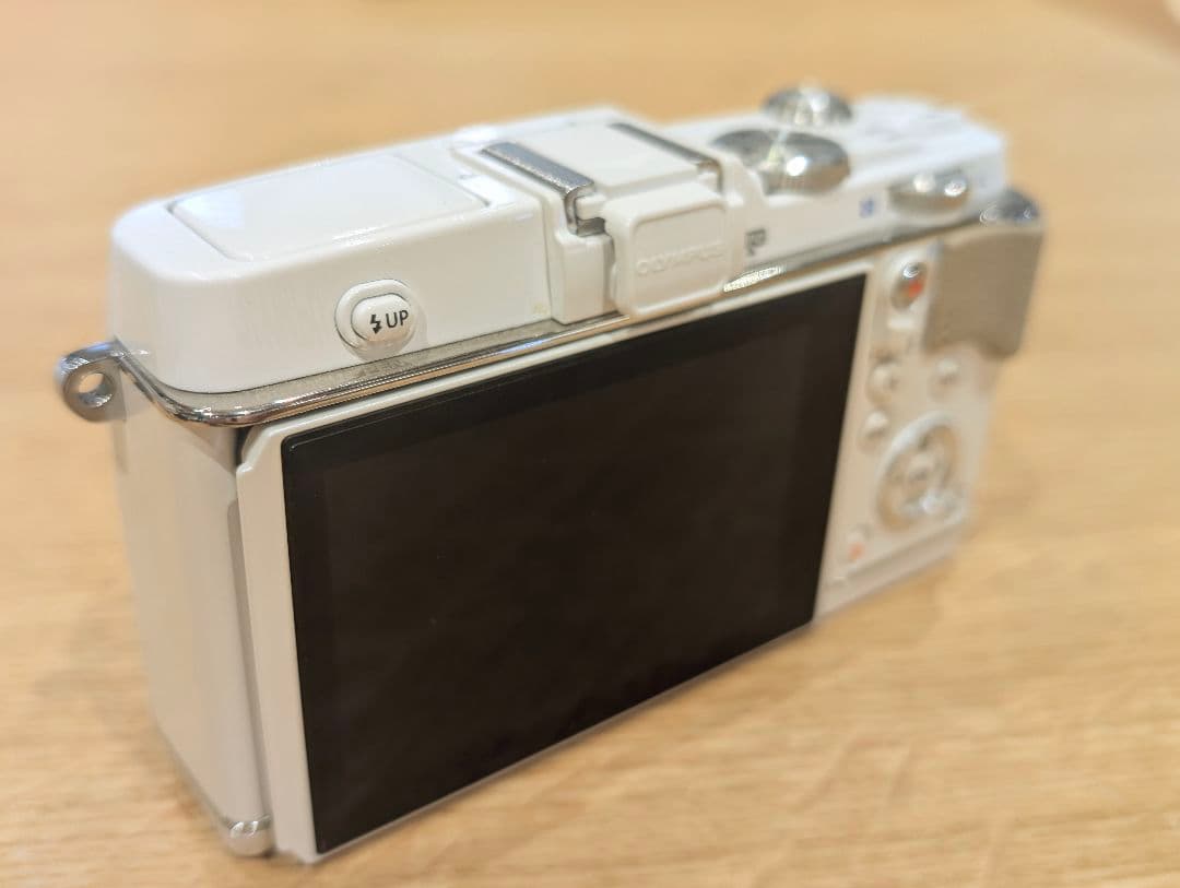 Olympus OM-D E-M5と PEN E-P5