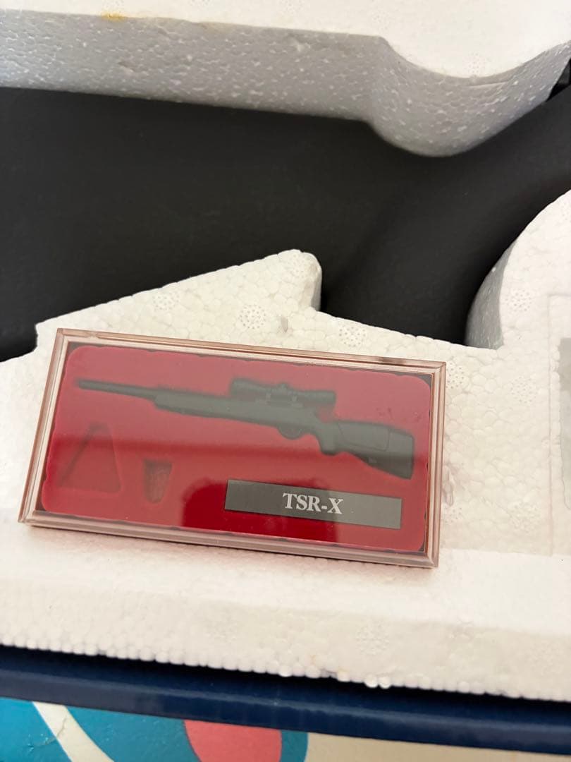 エスツーエス　TSR-x フルセット