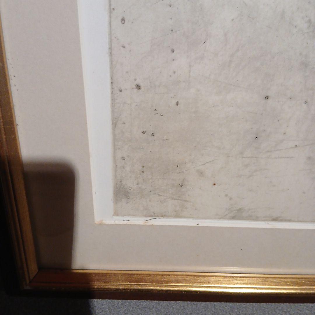 藤浪理恵子　銅版画　花粉