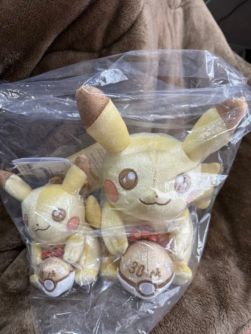 ポケモン 30周年記念 ピカピカ！ピカチュウ ぬいぐるみ マスコット 2点セット