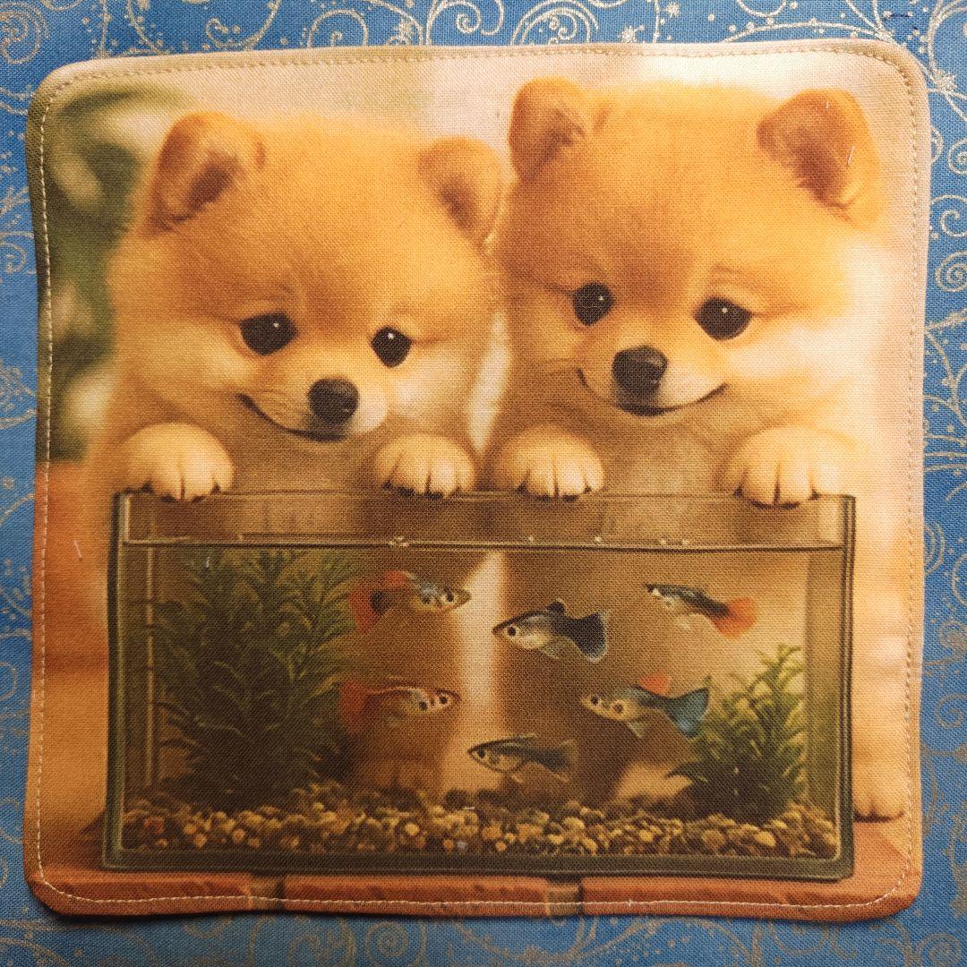 yourelia 4重ハンカチ　ポメラニアン柄　18枚