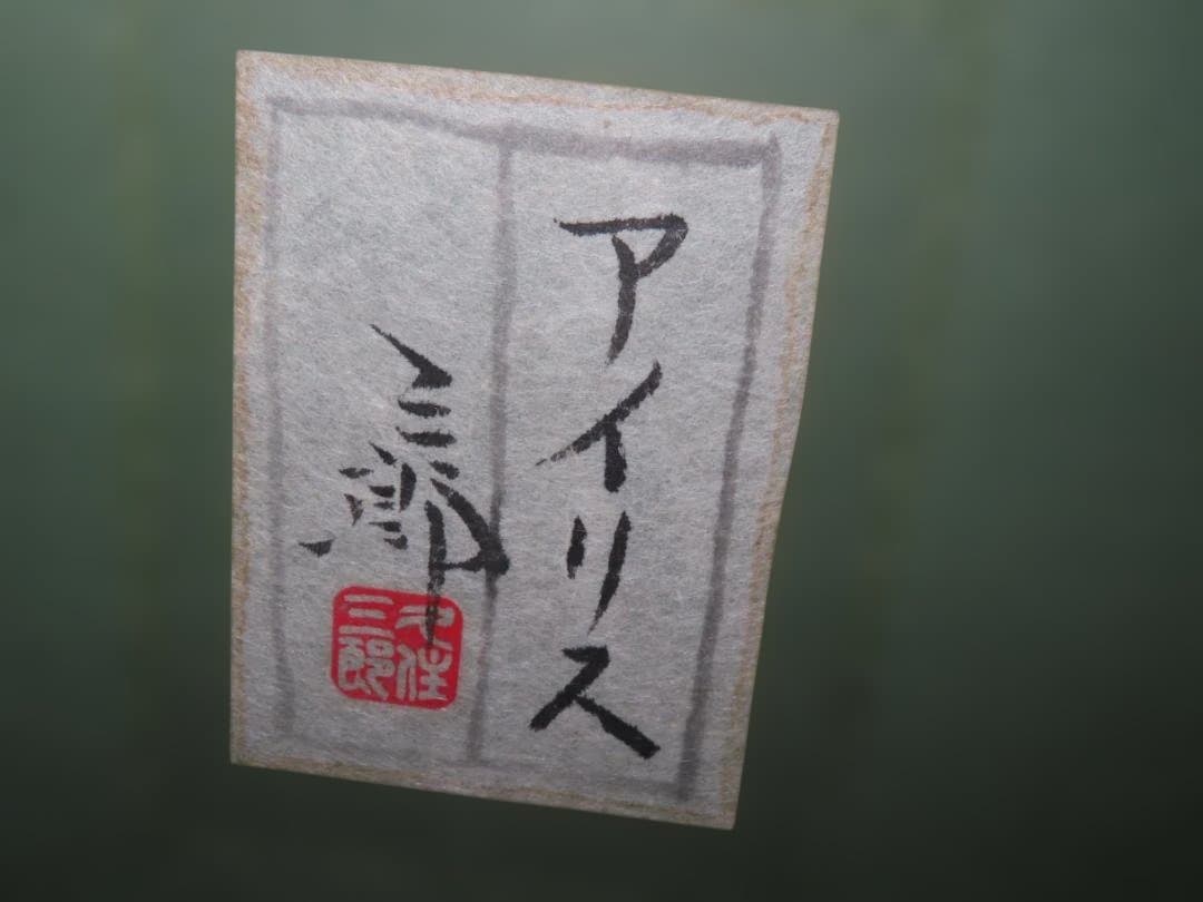 日本画家　久住三郎　アイリス 収蔵作品　鋸山美術館 金谷美術館