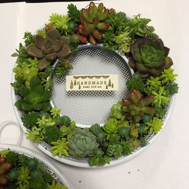 確認用　多肉リース