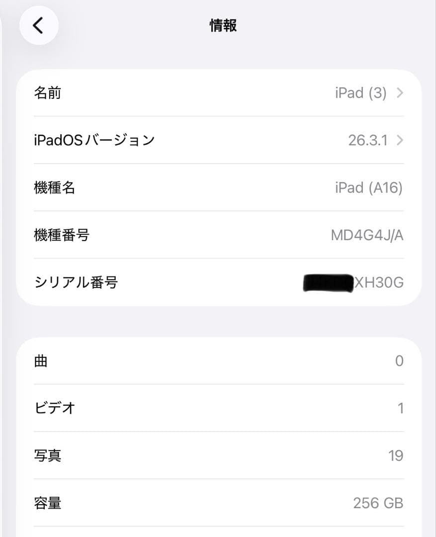 iPad A16 第11世代　256GB Wi-Fi モデル　極美品