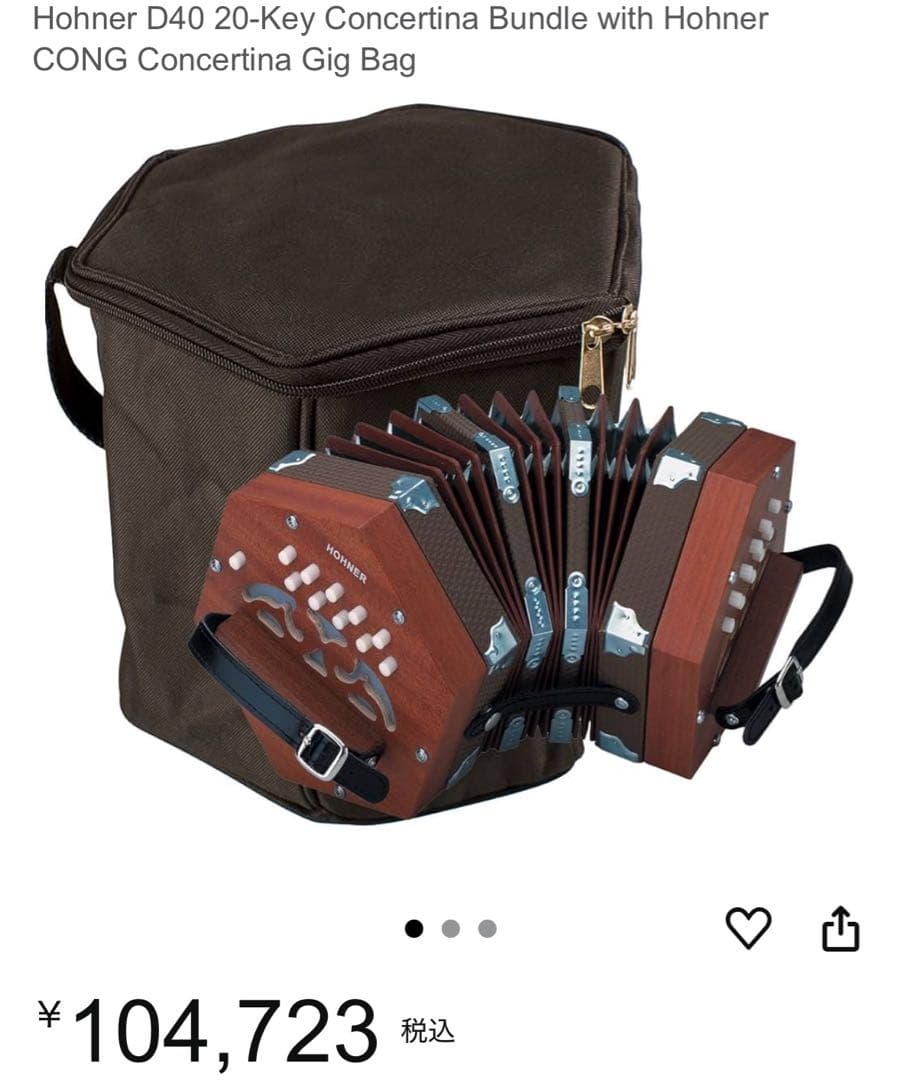 【定価10万円】コンサーティーナ HOHNER D40 希少　動作確認済