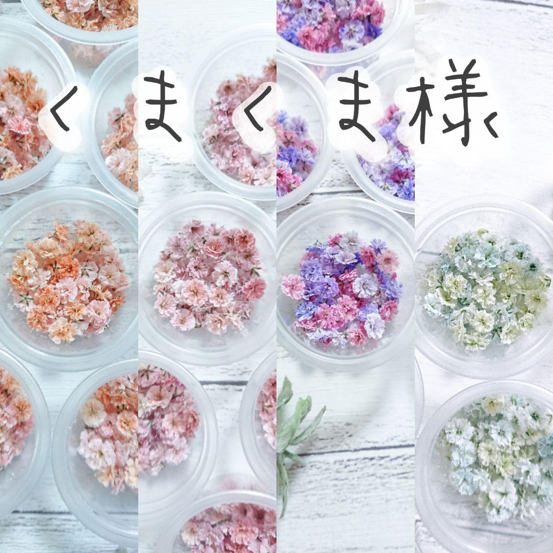 【くまくま様おまとめ】ドライフラワー