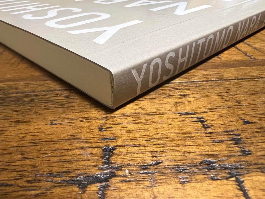 【絶版・希少】奈良美智「Drawing File」作品集