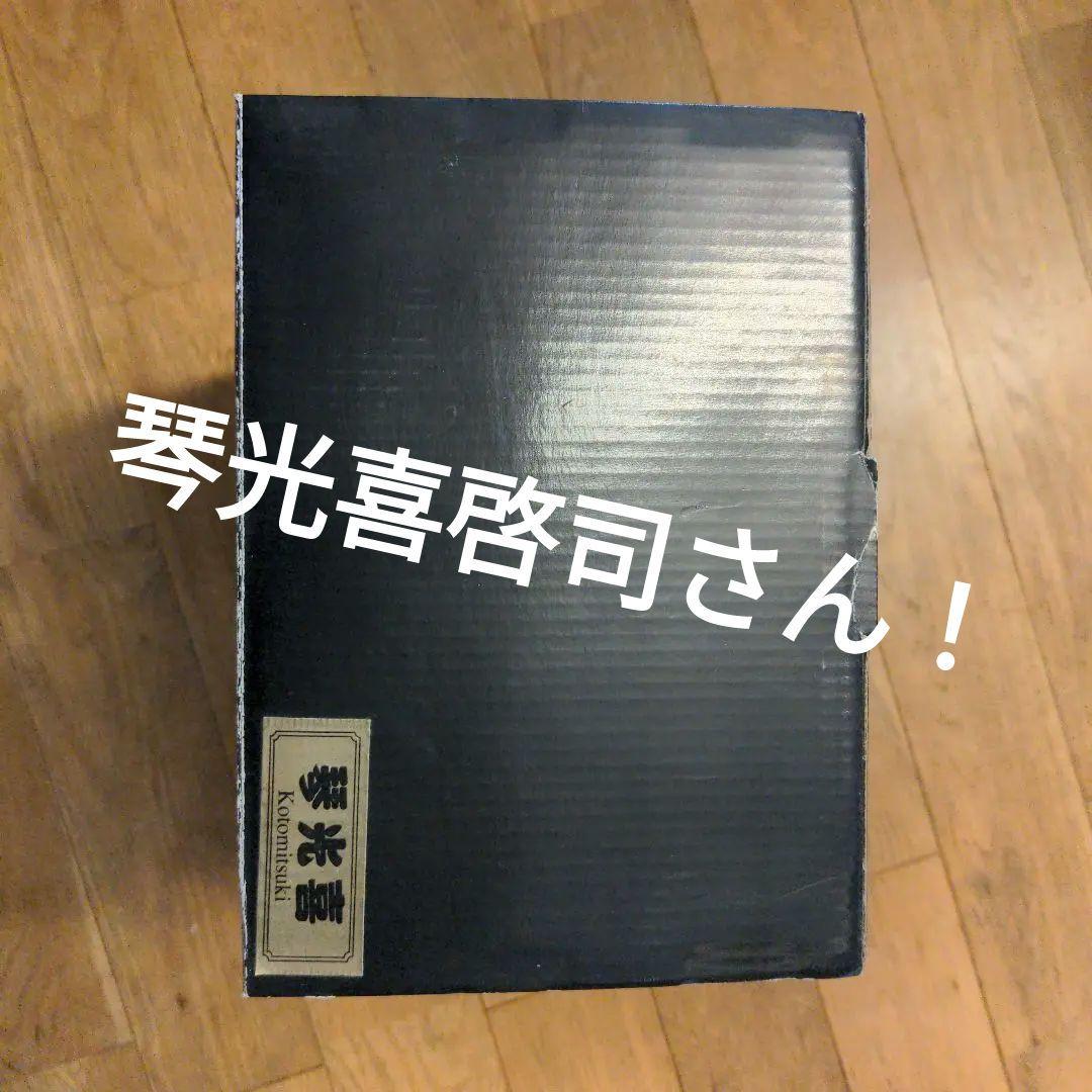 琴光喜のフィギュア