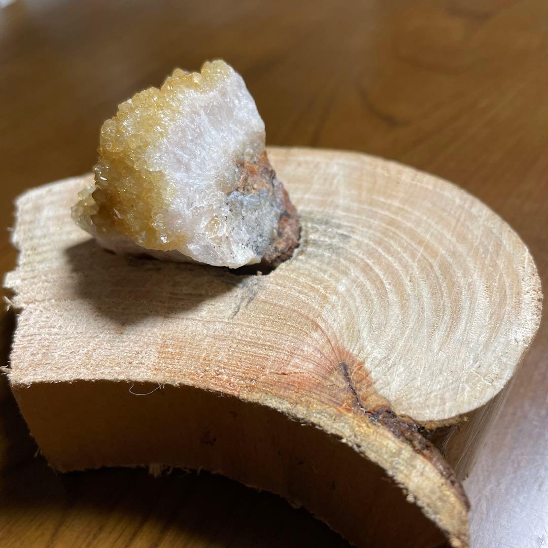 菅原道真公が宿る御神木と原石‼️