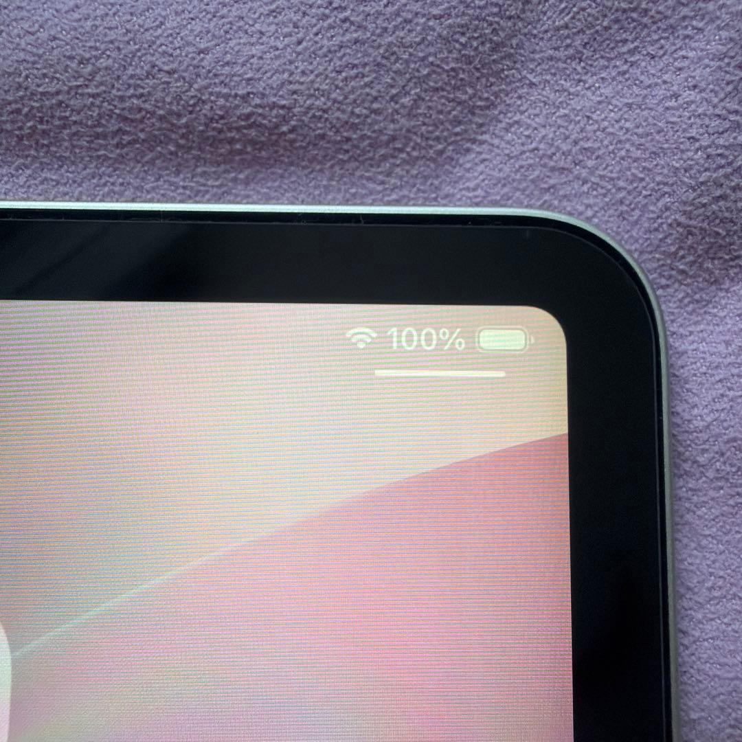 iPad Pro 11インチWiFiモデル 第4世代256GB スペースグレイ