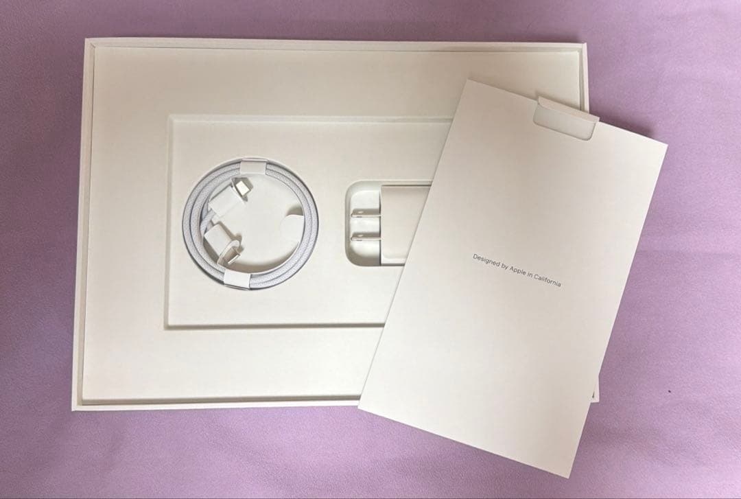 iPad Pro 11インチWiFiモデル 第4世代256GB スペースグレイ