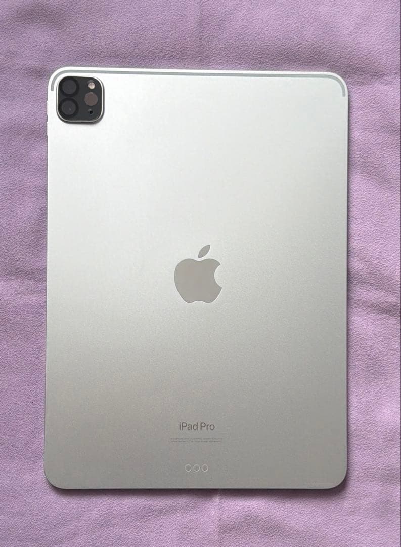 iPad Pro 11インチWiFiモデル 第4世代256GB スペースグレイ