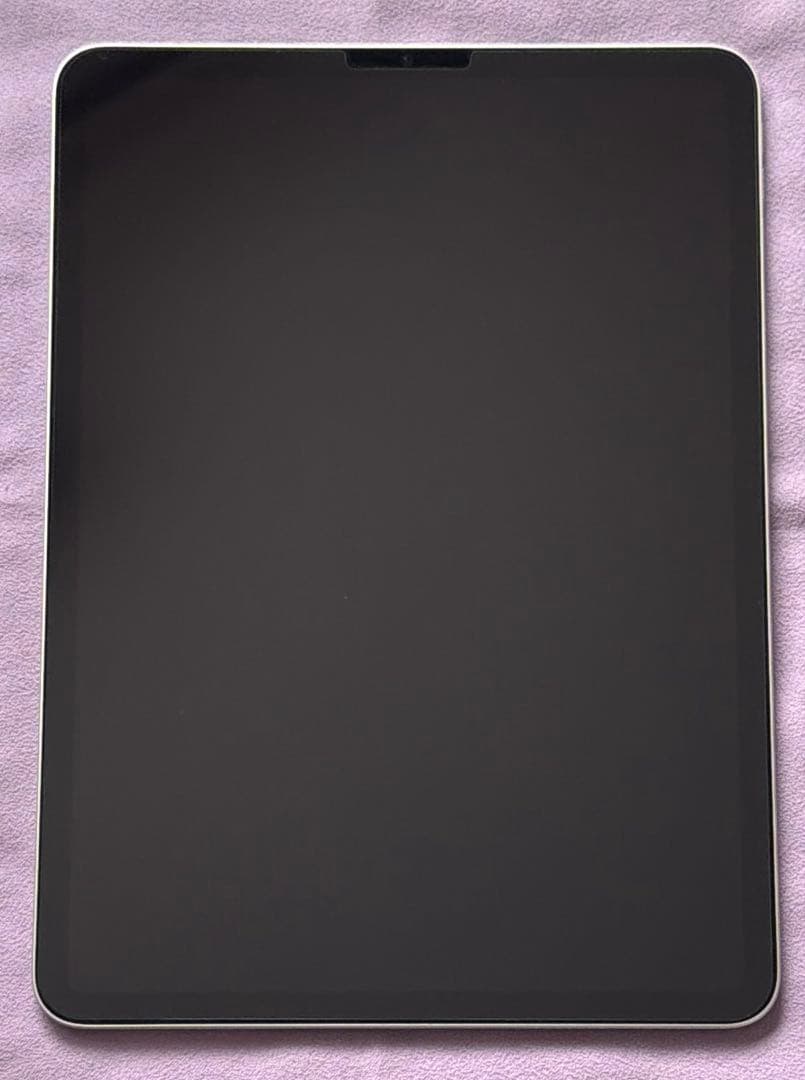 iPad Pro 11インチWiFiモデル 第4世代256GB スペースグレイ