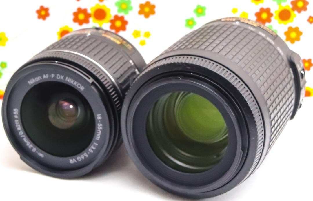 Nikon D5500☆Wi-Fi内蔵☆高性能一眼レフ☆自撮り可能☆ダブルレンズ