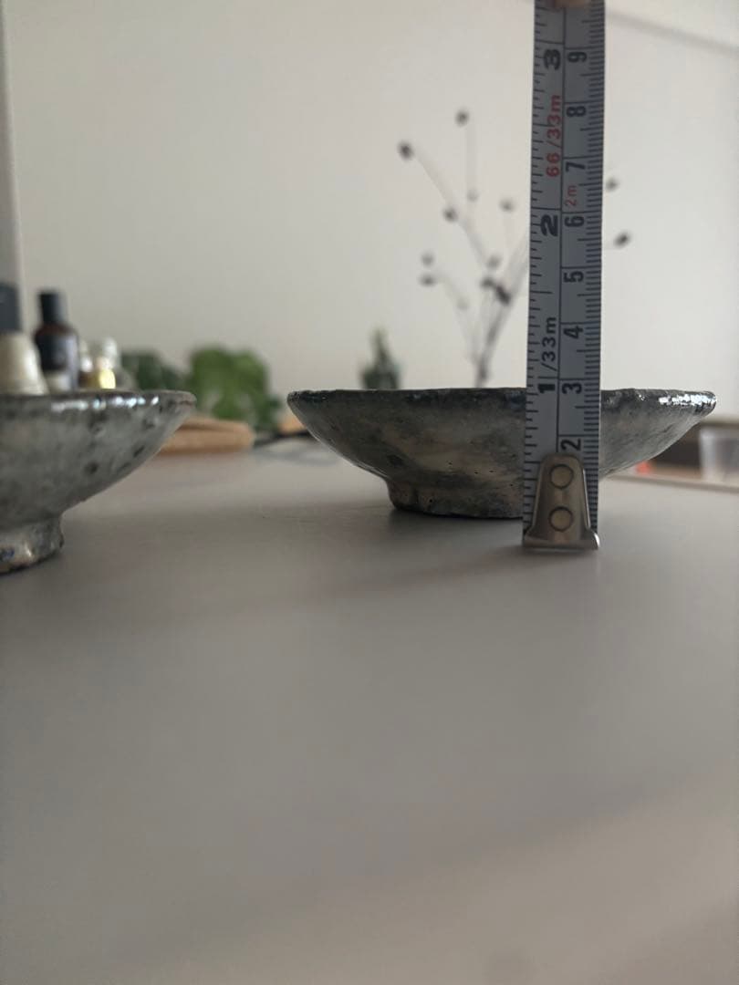 八田亨　平皿　2種セット