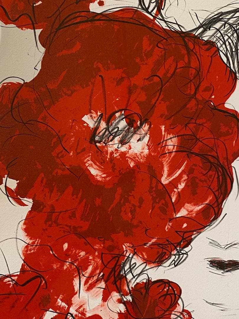 「真作」天野喜孝「朱夏花－あかいはな－」額装　版画　32/100　直筆サイン入り